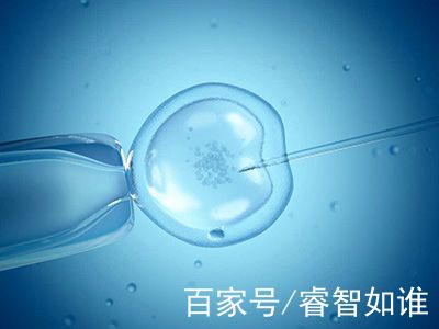周主任